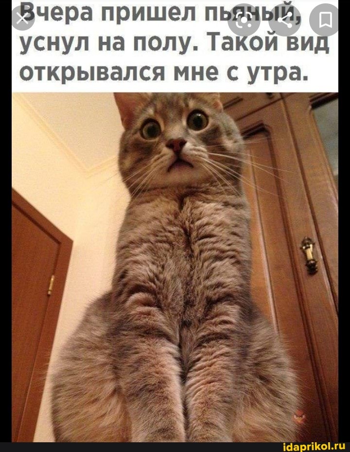 Вчера пришел пьзчый, уснул на полу. Такой вид
открывался мне с утра.