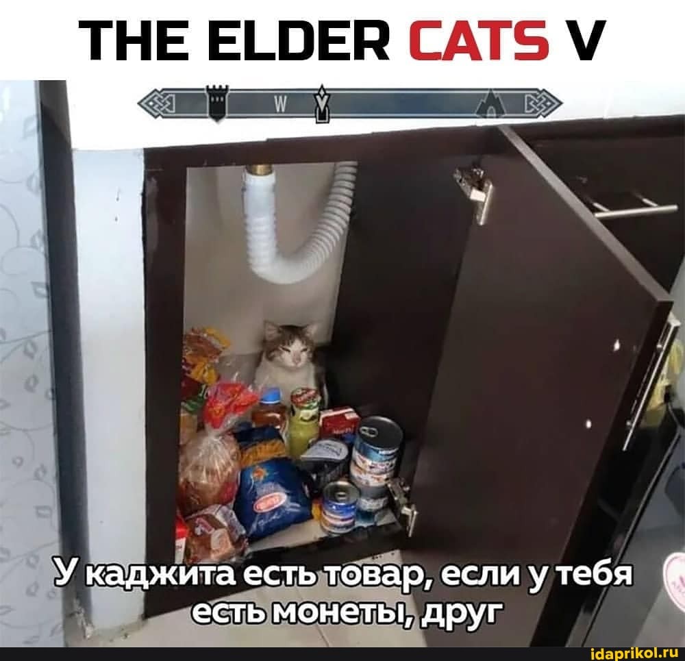ТНЕ ЕСОЕВ САТЗ
У каджита есть товар, если утебя есть монеты, друг