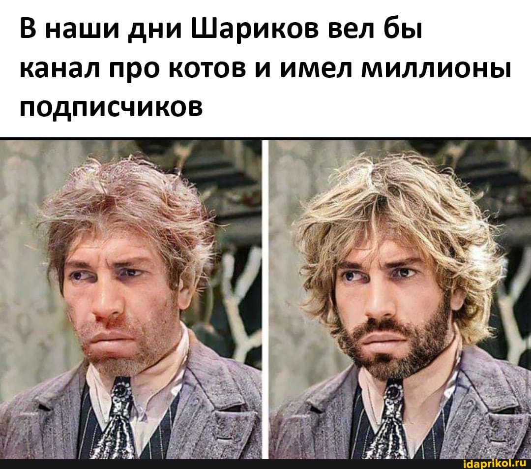 В наши дни Шариков вел бы канал про котов и имел миллионы подписчиков