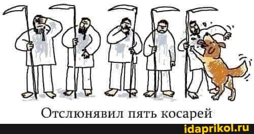 Отслюнявил пять косарей