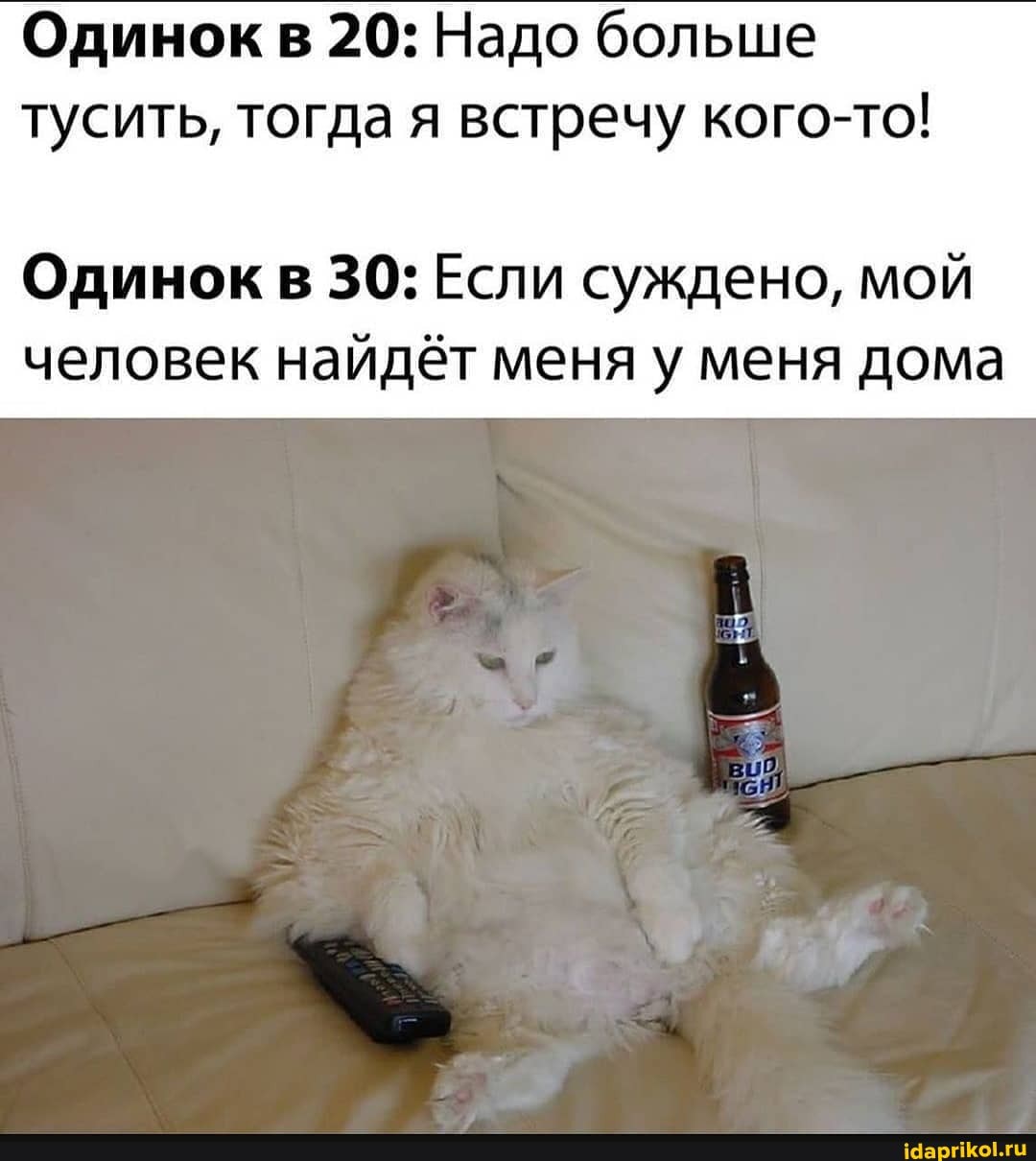 Одинокв 20: Надо больше тусить, тогда я встречу кого-то!
Одинок в 30: Если суждено, мой человек найдёт меня у меня дома