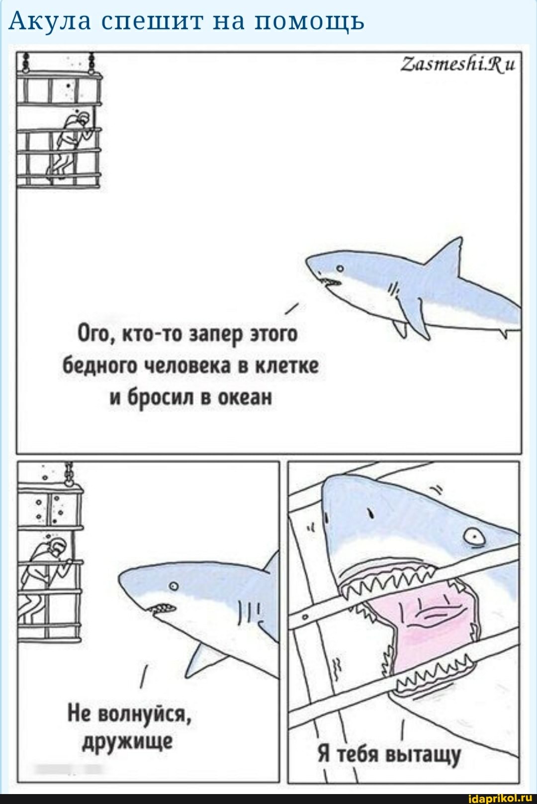 Акула спешит на помощь
Ого, кто-то запер этого бедного человека в клетке и бросил в океан
Не волнуйся, дружище