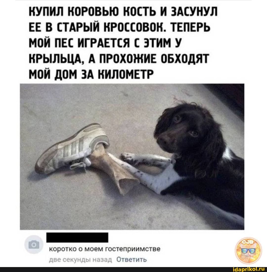 КУПИЛ КОРОВЬЮ КОСТЬ И ЗАСУНУЛ ЕЕ В СТАРЫЙ КРОССОВОК. ТЕПЕРЬ МОЙ ПЕС ИГРАЕТСЯ С ЭТИМ У КРЫЛЬЦА, А ПРОХОЖИЕ ОБХОДЯТ МОЙ ДОМ ЗА КИЛОМЕТР
коротко о моем гостеприимстве ЕЛЕ
Ответить
