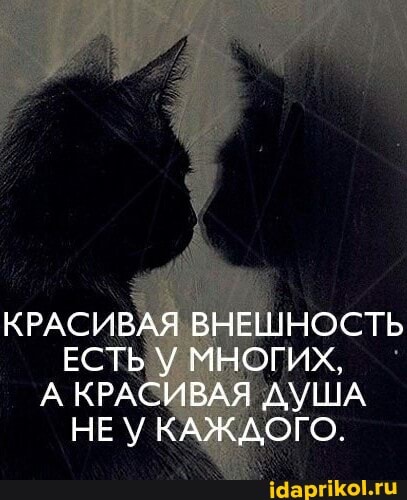 КРАСИВАЯ ВНЕШНОСТЬ ЕСТЬ У МНОГИХ,
А КРАСИВАЯ АУША НЕУ КАЖДОГО.