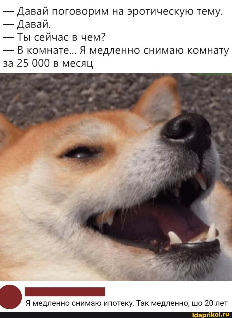 - Давай поговорим на эротическую тему.
- Давай.
- Ты сейчас в чем?
- В комнате... Я медленно снимаю комнату за 25 000 в месяц
Я медленно снимаю ипотеку. Так медленно, шо 20 лет