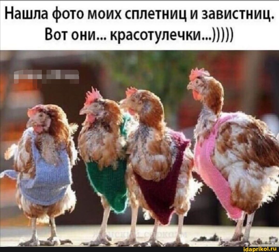 Нашла фото моих сплетниц и завистниц.
Вот они... красотулечки...)))))
