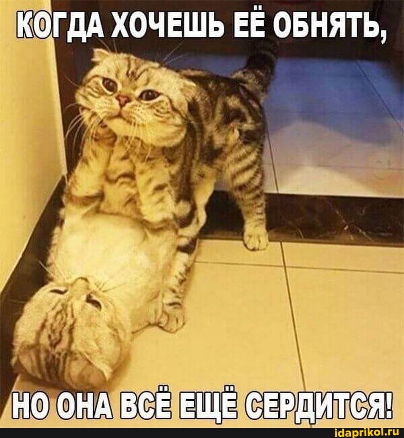 КОГДА ХОЧЕШЬ ЕЁ ОБНЯТЬ,
НО ОНА ВСЕ ЕЩЕ СЕРДИТСЯ!