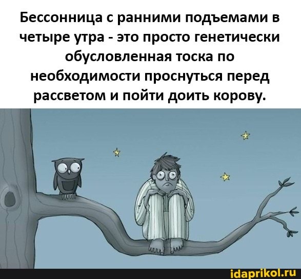Бессонница с ранними подемами в четыре утра - это просто генетически обусловленная тоска по необходимости проснуться перед рассветом и пойти доить корову.