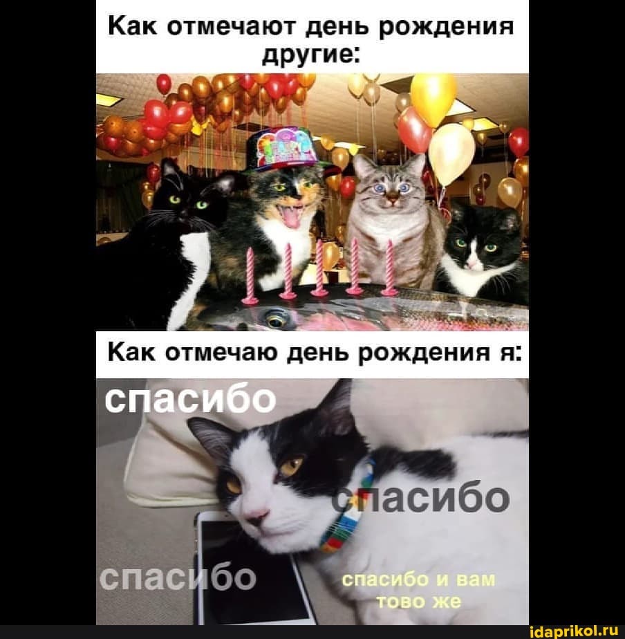 Как отмечают день рождения другие:
Как отмечаю день рождения я:
спасибо