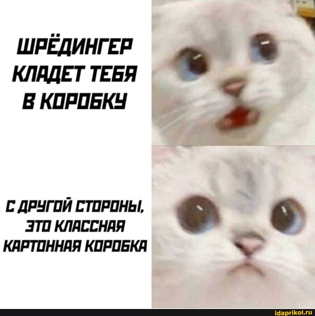ШРЕДИНГЕР КЛАДЕТ ТЕБЯ % I
КЛАДЕТ ТЕБЯ КОРОБКУ
Е ДРУГОЙ СТОРОНЫ,
ЭТО КЛАССНАЯ КАРТОННАЯ КОРОБКА