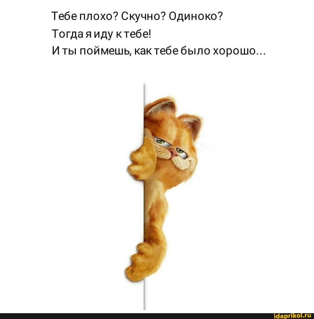 Тебе плохо? Скучно? Одиноко?
Тогдаяиду ктебе!
И ты поймешь, как тебе было хорошо...
