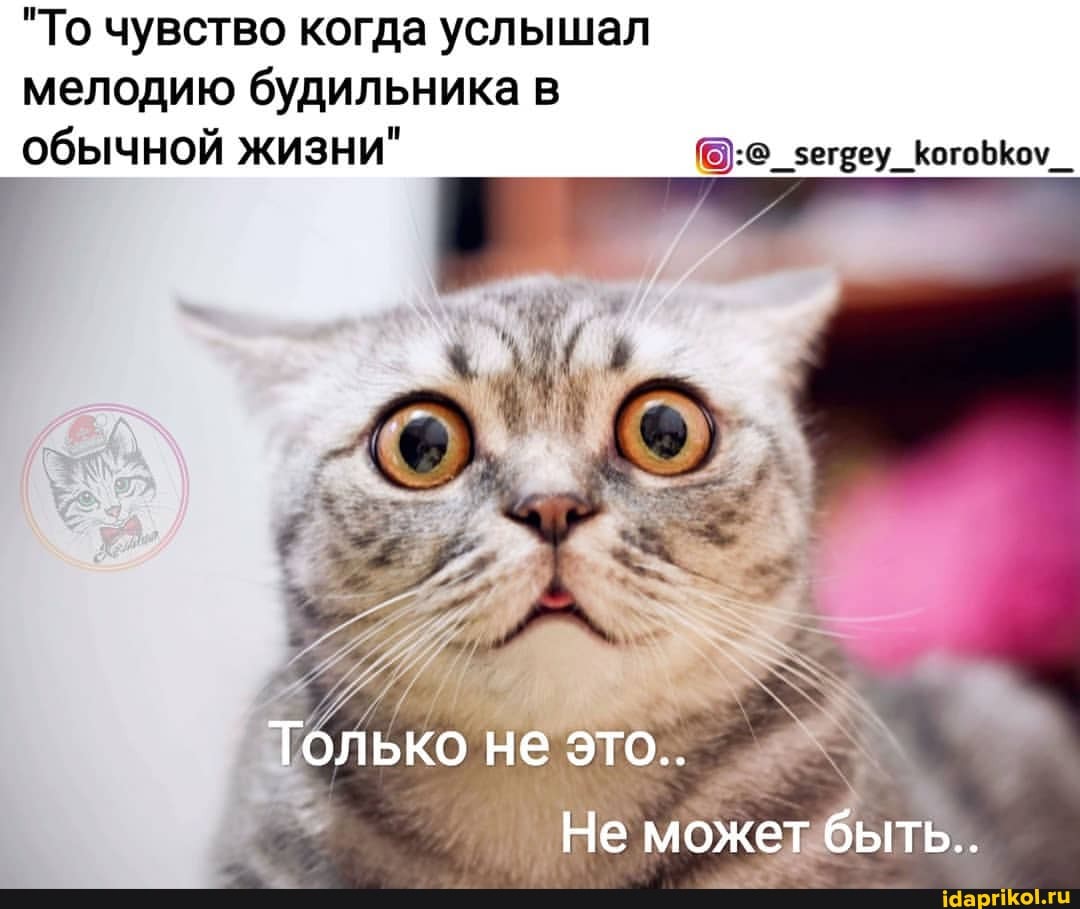 "То чувство когда услышал
обычной жизни"
мелодию будильника
Только не это..
Не может быть..