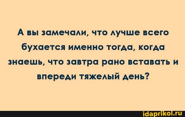 А вы замечали, что лучше всего бухается именно тогда, когда знаешь, что завтра рано вставать и впереди тяжелый день?