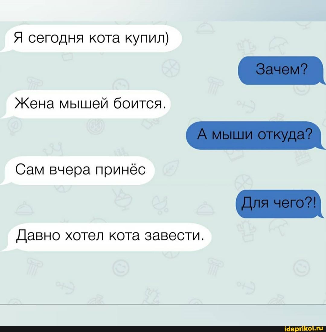 Я сегодня кота купил)
Жена мышей боится.
Сам вчера принёс
Давно хотел кота завести.