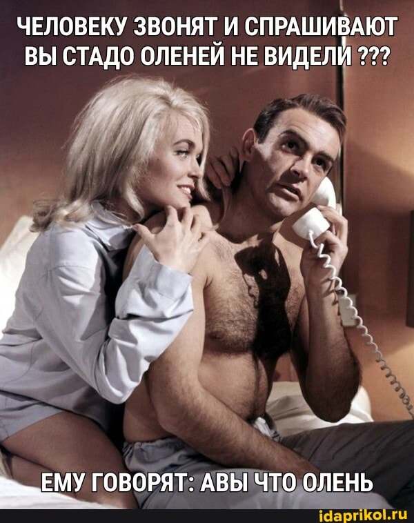ЧЕЛОВЕКУ ЗВОНЯТ И СПРАШИВАЮТ ВЫ СТАДО ОЛЕНЕЙ НЕ ВИДЕЛИ
ЕМУ ГОВОРЯТ: АВЫ ЧТО ОЛЕНЬ