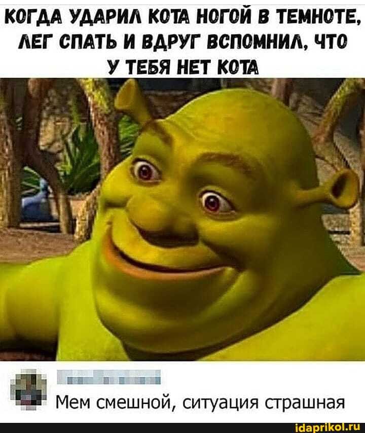 КОГДА УДАРИЛ КОТА НОГОЙ В ТЕМНОТЕ,
ЛЕГ СПАТЬ И ВДРУГ ВСПОМНИЛ, ЧТО
УТЕБЯ НЕТ КОТА
я i ESS
Ч" Мем смешной, ситуация страшная