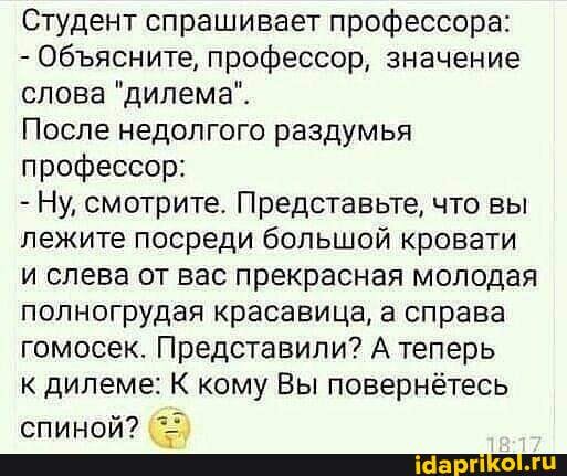 Студент спрашивает профессора:
- Обясните, профессор, значение слова "дилема".
После недолгого раздумья профессор:
- Ну, смотрите. Представьте, что вы лежите посреди большой кровати и слева от вас прекрасная молодая полногрудая красавица, а справа гомосек. Представили? А теперь
к дилеме: К кому Вы повернётесь
хина мм"