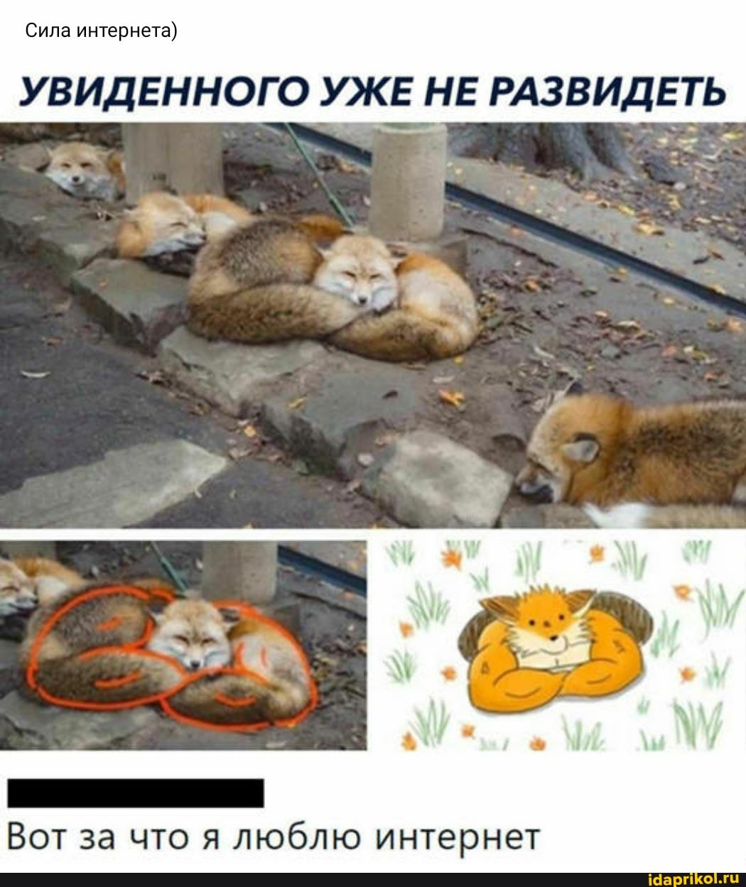 Сила интернета)
УВИДЕННОГО УЖЕ НЕ РАЗВИДЕТЬ
Вот за что я люблю интернет