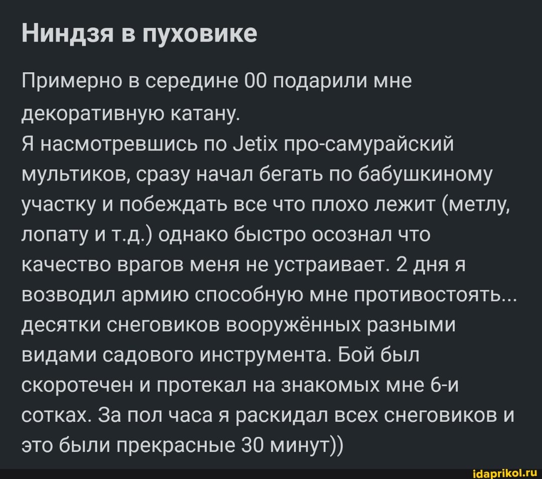 Ниндзя в пуховике
Примерно в середине 00 подарили мне декоративную катану.
Я насмотревшись по уейх про-самурайский мультиков, сразу начал бегать по бабушкиному участку и побеждать все что плохо лежит (метлу, лопату и т.д.) однако быстро осознал что качество врагов меня не устраивает. 2 дня я возводил армию способную мне противостоять...
десятки снеговиков вооружённых разными видами садового инструмента. Бой был скоротечен и протекал на знакомых мне сотках. За пол часа я раскидал всех снеговиков и это были прекрасные 30 минут))