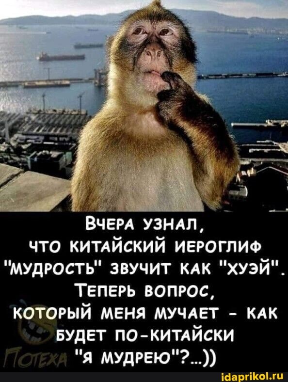 ВЧЕРА УЗНАЛ,
ЧТО КИТАЙСКИЙ ИЕРОГЛИФ
"МУДРОСТЬ" ЗВУЧИТ КАК "ХУЭЙ".
ТЕПЕРЬ ВОПРОС,
КОТОРЫЙ МЕНЯ МУЧАЕТ - КАК БУДЕТ ПО-КИТАЙСКИ
"Я МУДРЕЮ"?...))
