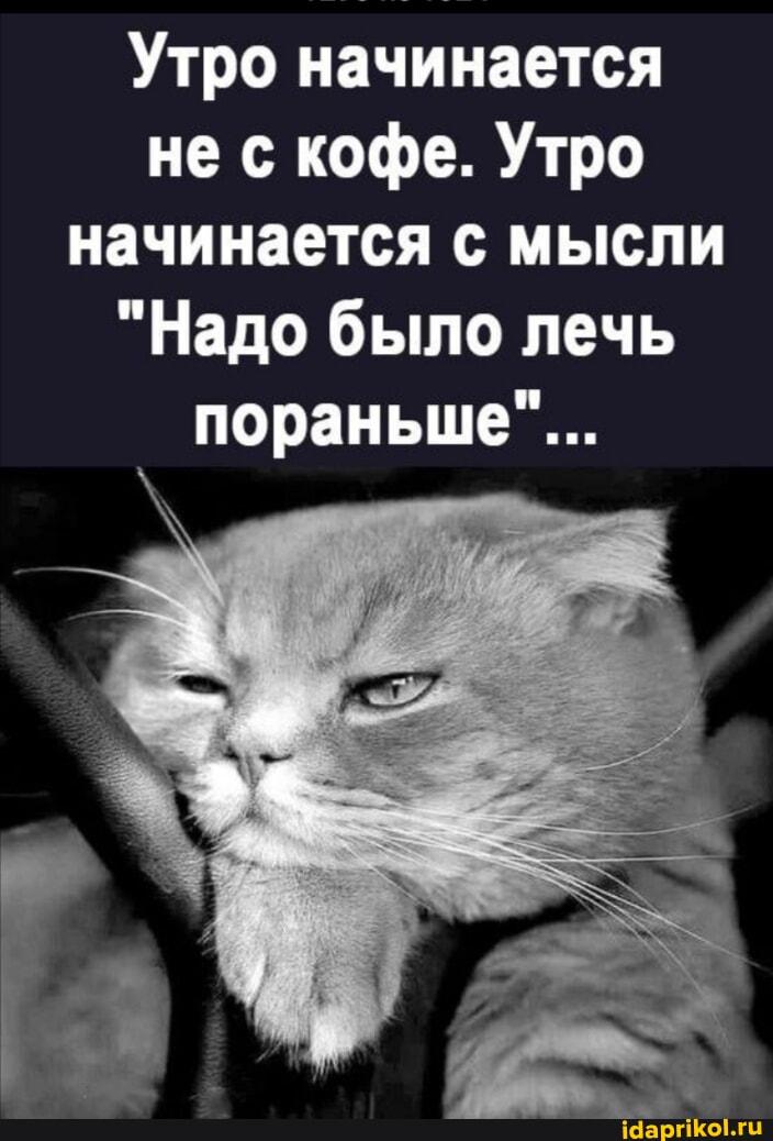 День начинается не с кофе а со стонов День начинается не с кофе а со стонов