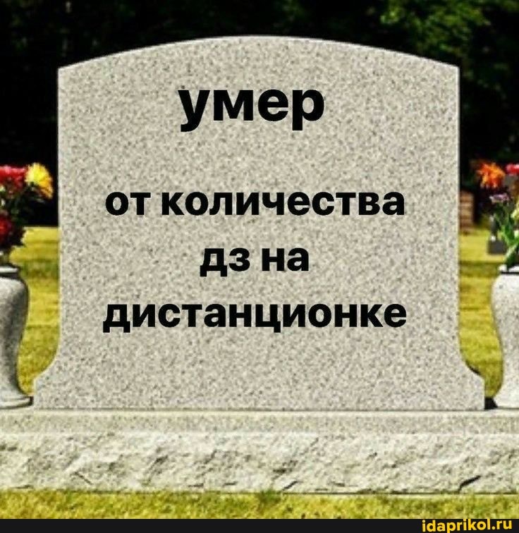 умер
от количества дз на дистанционке
