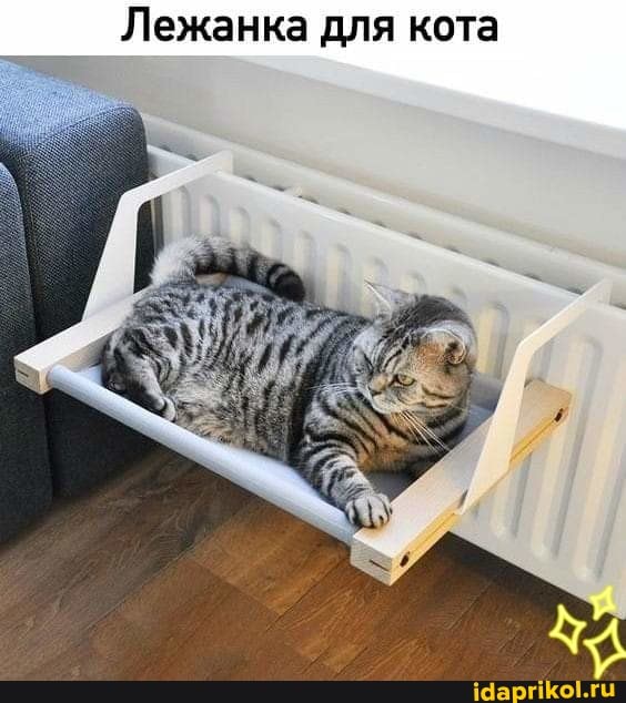 Лежанка для кота