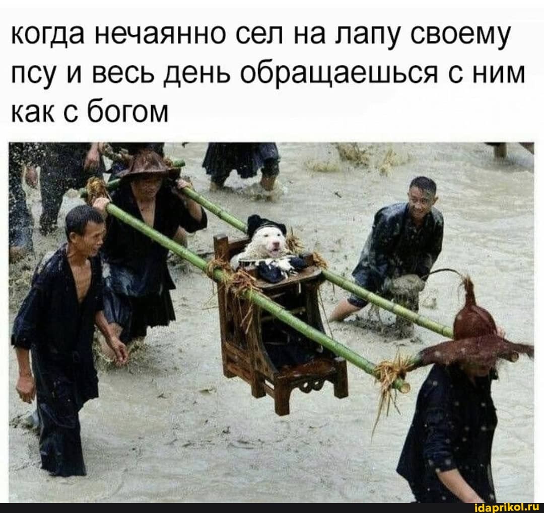 когда нечаянно сел на лапу своему
псу и весь день обращаешься с ним
как с богом
c
г