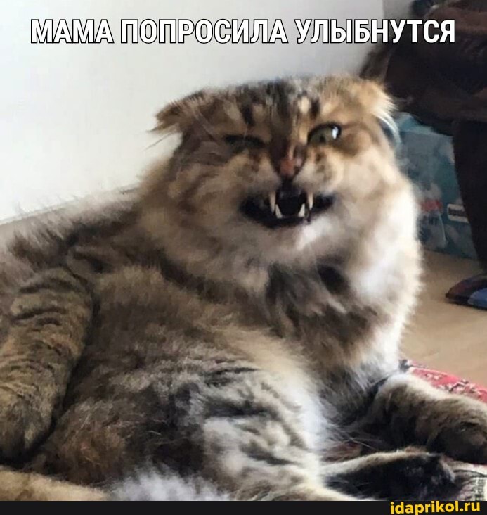 АМА ПОПРОСИЛА УЛЫБНУТСЯ