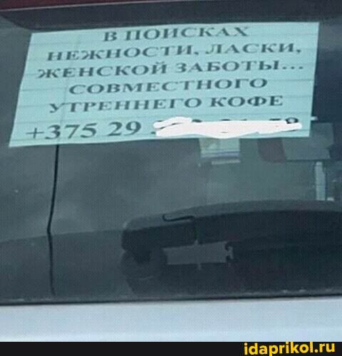 в поИскАх гм. лАски, жЕнской совместного рЕННЕГО