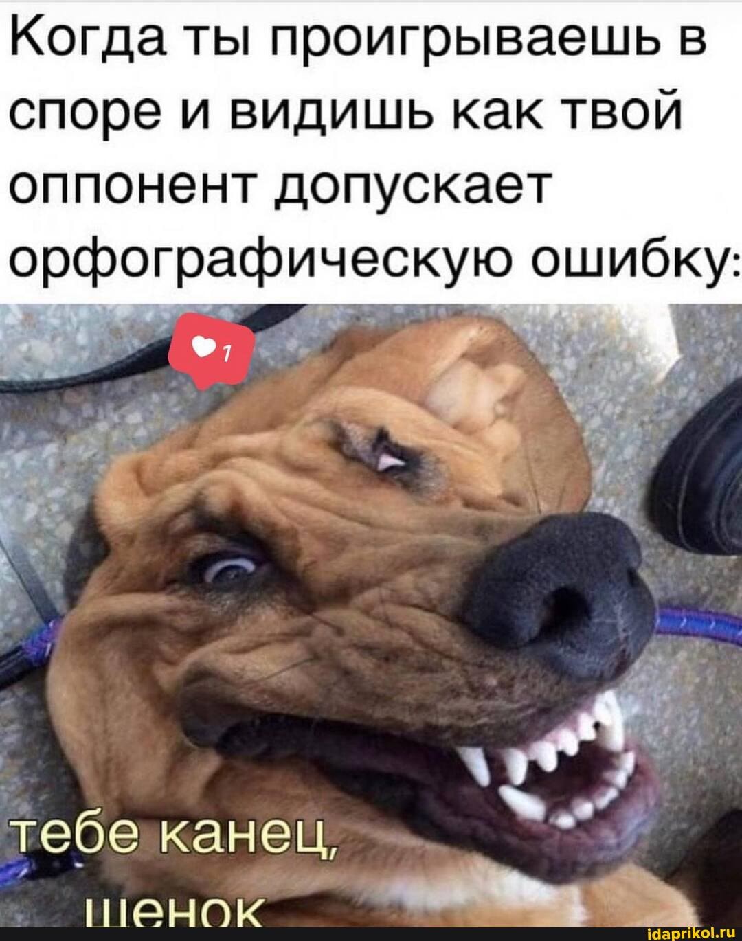 Когда ты проигрываешь в споре и видишь как твой оппонент допускает орфографическую ошибку:
тебе канец,