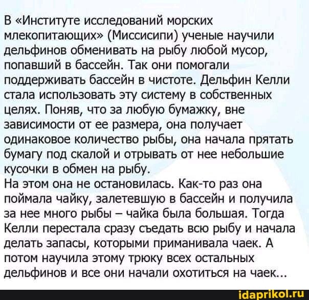 В "Институте исследований морских млекопитающих" (Миссисипи) ученые научили дельфинов обменивать на рыбу любой мусор, попавший в бассейн. Так они помогали поддерживать бассейн в чистоте. Дельфин Келли стала использовать эту систему в собственных целях. Поняв, что за любую бумажку, вне зависимости от ее размера, она получает одинаковое количество рыбы, она начала прятать бумагу под скалой и отрывать от нее небольшие кусочки в обмен на рыбу.
На этом она не остановилась. Как-то раз она поймала чайку, залетевшую в бассейн и получила за нее много рыбы чайка была большая. Тогда
Келли перестала сразу седать всю рыбу и начала делать запасы, которыми приманивала чаек. А потом научила этому трюку всех остальных дельфинов и все они начали охотиться на чаек...