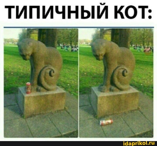 ТИПИЧНЫЙ КОТ: