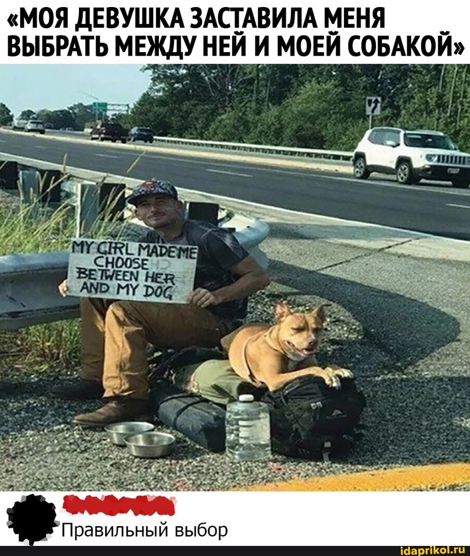 "МОЯ ДЕВУШКА ЗАСТАВИЛА МЕНЯ ВЫБРАТЬ МЕЖДУ НЕЙ И МОЕЙ СОБАКОЙ"
Правильный выбор