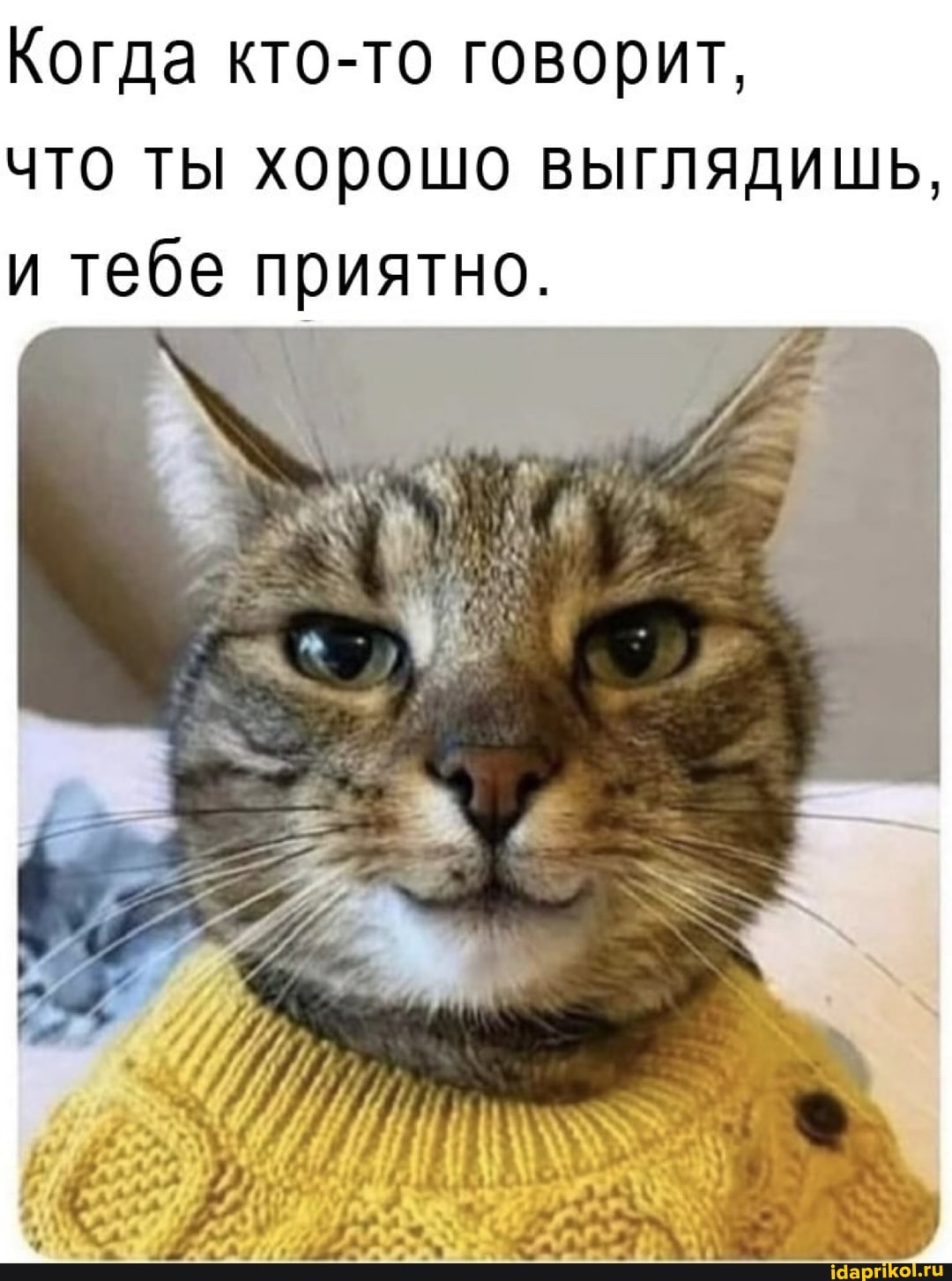 Когда кто-то говорит, что ты хорошо выглядишь, и тебе приятно.