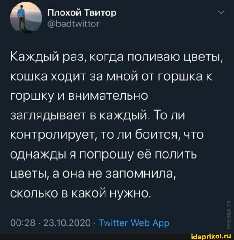 Плохой Твитор м
Каждый раз, когда поливаю цветы, кошка ходит за мной от горшка горшку и внимательно заглядывает в каждый. То ли контролирует, то ли боится, что однажды я попрошу её полить цветы, а она не запомнила, сколько в какой нужно.
23.10.2020