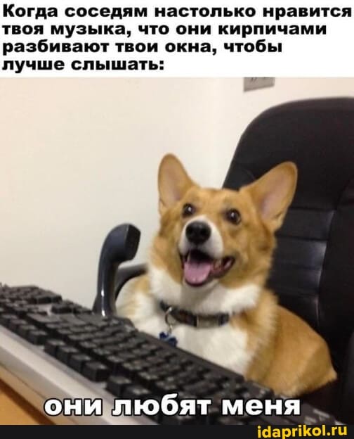Когда соседям настолько нравится твоя музыка, что они кирпичами разбивают твои окна, чтобы лучше слышать:
они любят меня