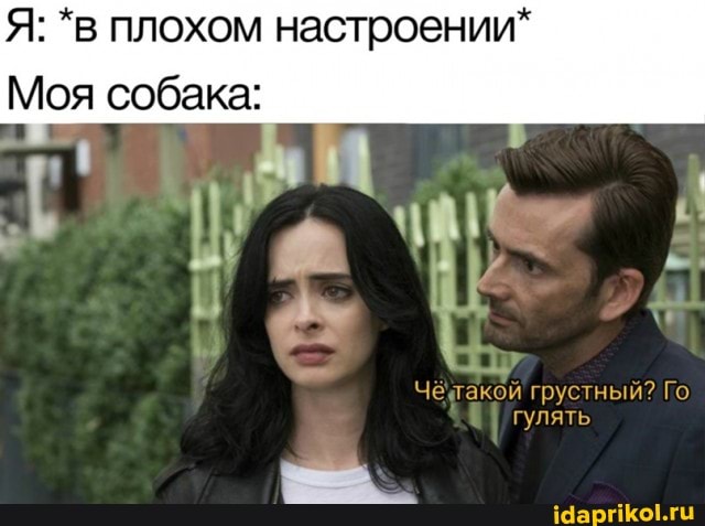 Я: *в плохом настроении*
Моя собака:
Чёчтакой грустный? Го
гулять