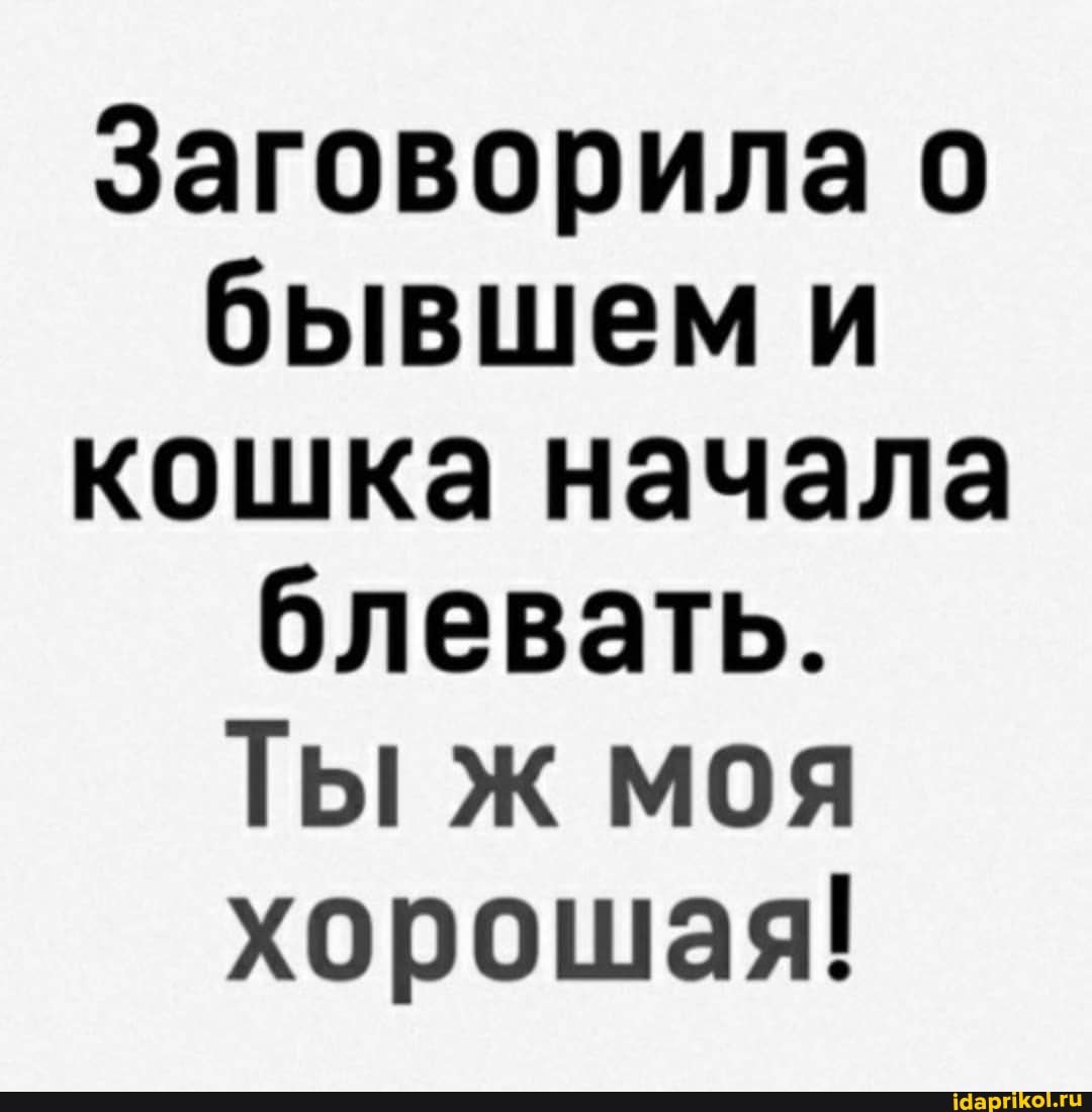 Заговорила о бывшем и кошка начала блевать.
Ты ж моя хорошая!