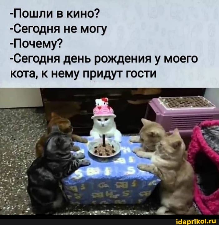 -Пошли в кино?
-Сегодня не могу
-Почему?
-Сегодня день рождения у моего кота, к нему придут гости