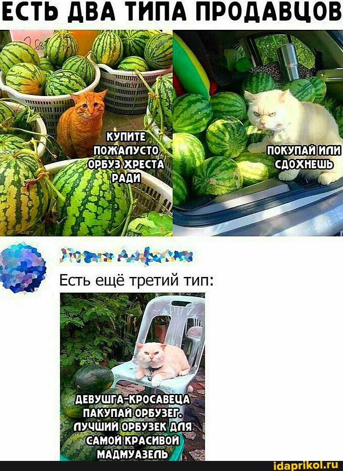 ЕСТЬ ДВА ТИПА ПРОДАВЦОВ
Есть ещё третий тип:
МАДМУАЗЕПЬ