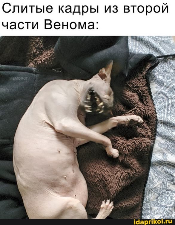 Слитые кадры из второй части Венома: