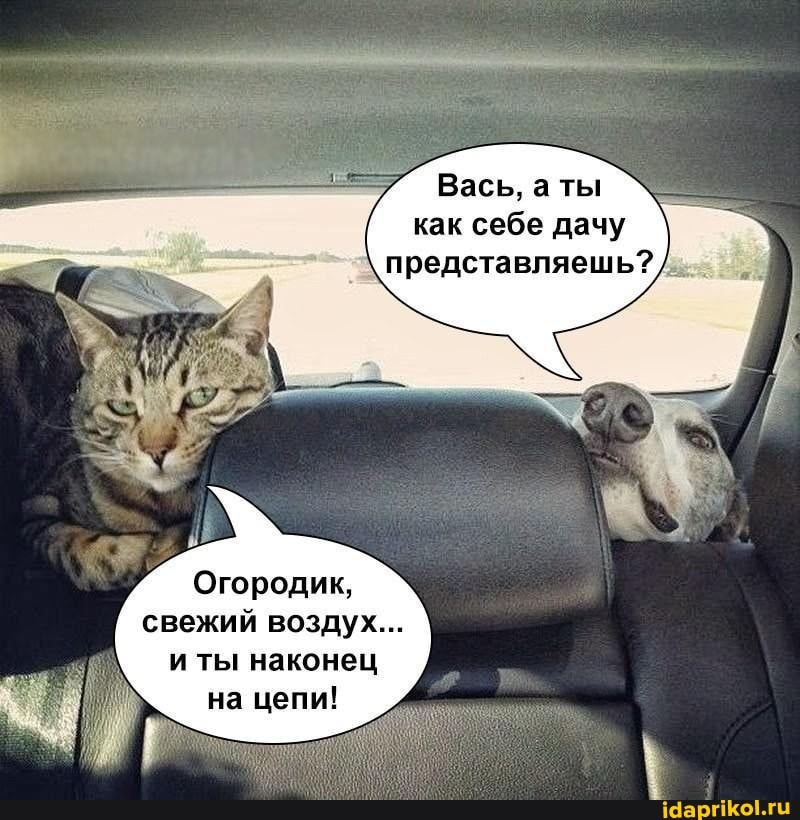 Вась, а ты как себе дачу представляешь?
Огородик, свежий воздух...
и ты наконец на цепи!