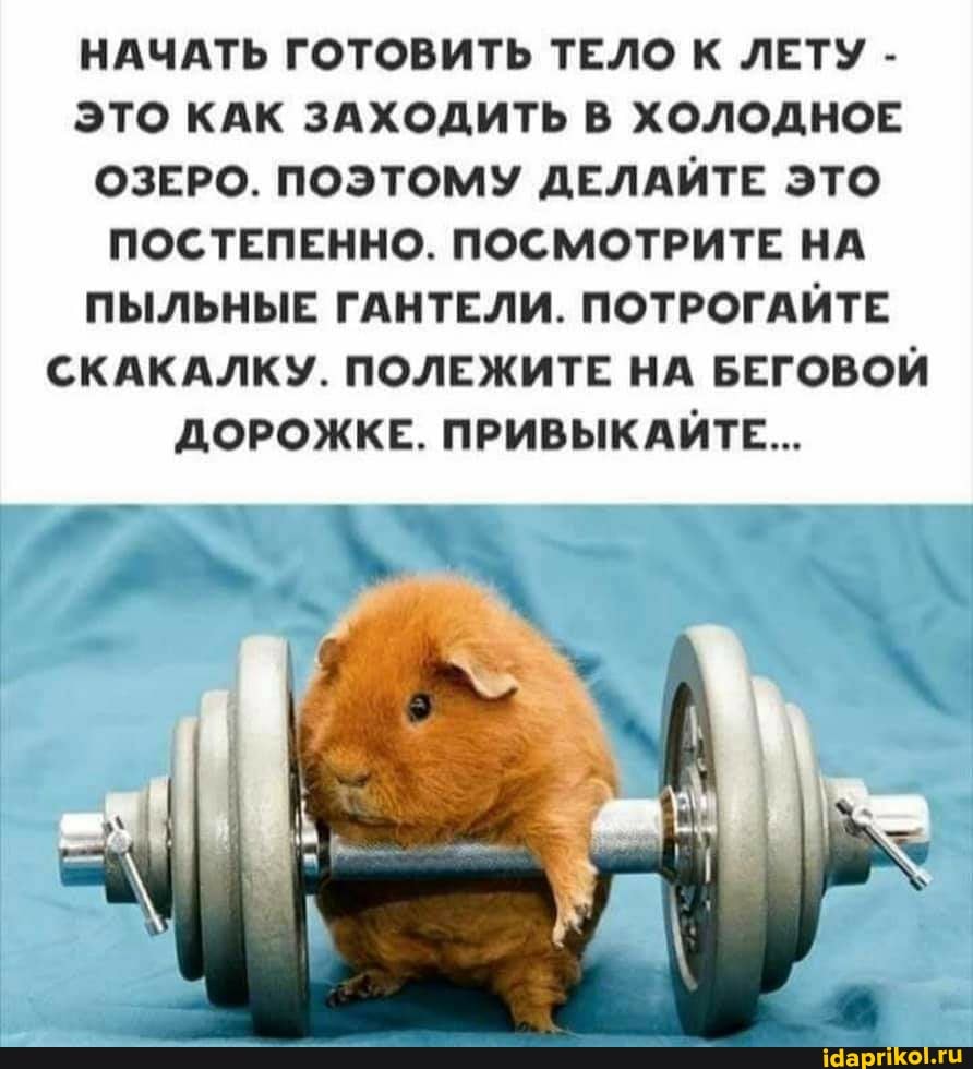 НАЧАТЬ ГОТОВИТЬ ТЕЛО К ЛЕТУ -
ЭТО КАК ЗАХОДИТЬ В ХОЛОДНОЕ ОЗЕРО. ПОЭТОМУ ДЕЛАЙТЕ ЭТО ПОСТЕПЕННО. ПОСМОТРИТЕ НА ПЫЛЬНЫЕ ГАНТЕЛИ. ПОТРОГАЙТЕ СКАКАЛКУ. ПОЛЕЖИТЕ НА БЕГОВОЙ ДОРОЖКЕ. ПРИВЫКАЙТЕ...