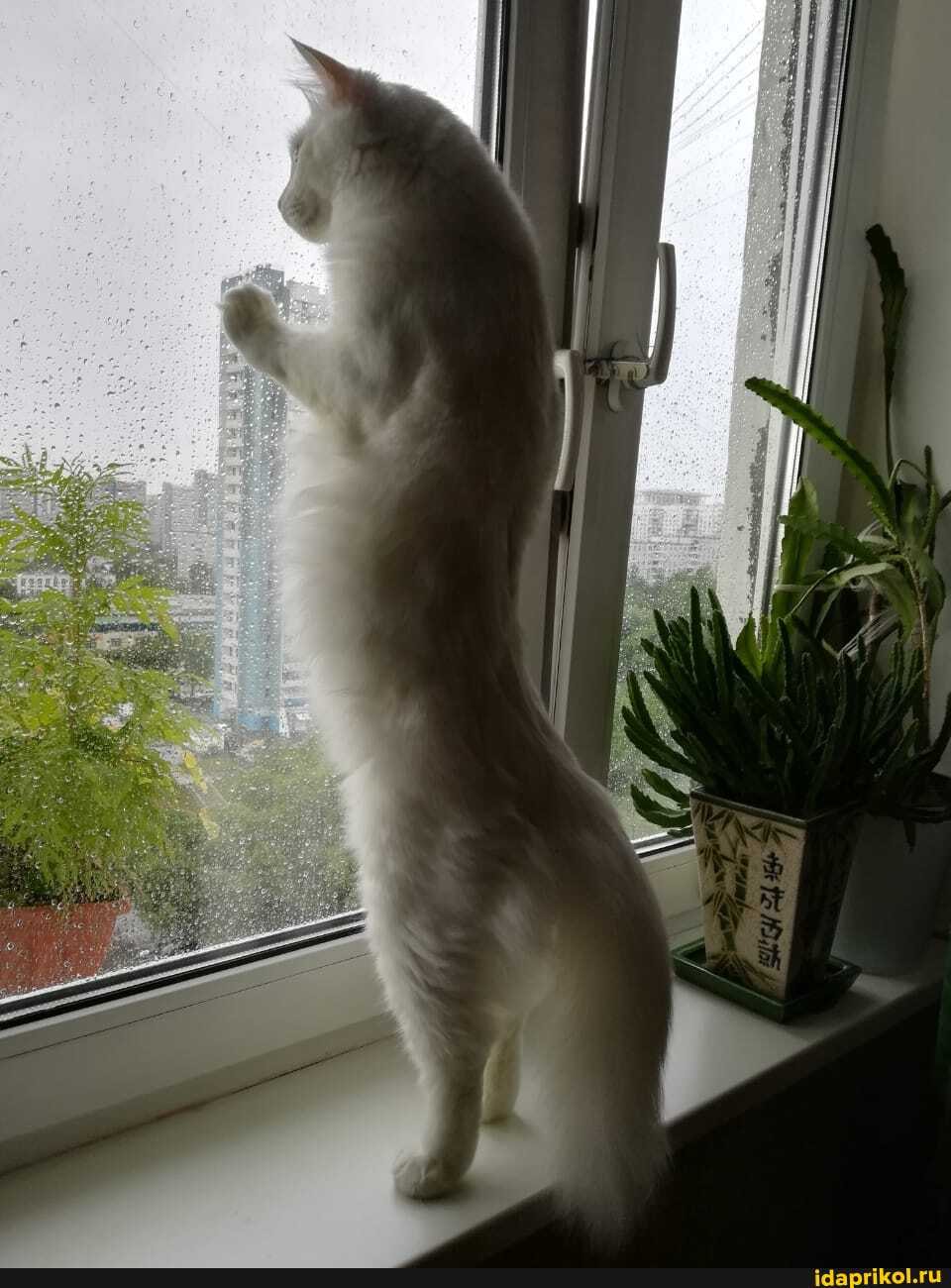 Супер!