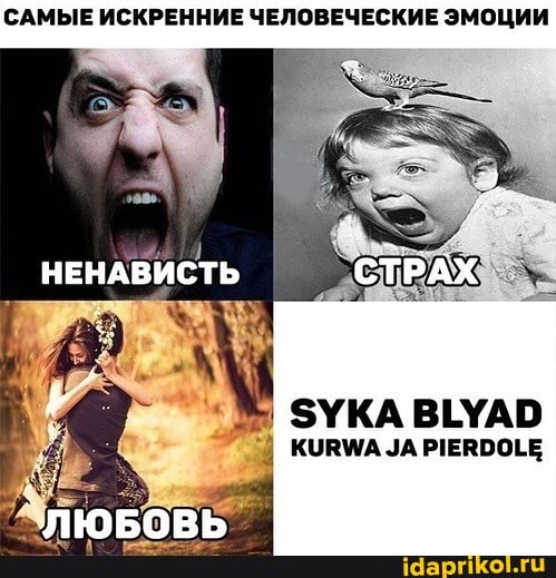 САМЫЕ ИСКРЕННИЕ ЧЕЛОВЕЧЕСКИЕ ЭМОЦИИ
НЕНАВИСТЬ
ВЕУАО
I ЗА РЕВООГЕ