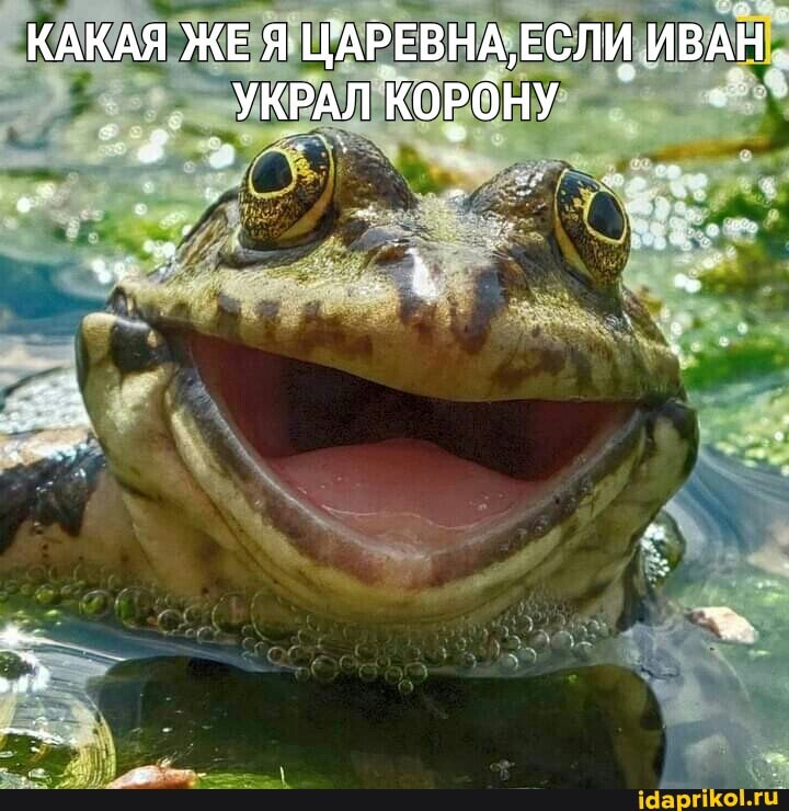 КАКАЯ ЖЕЯ ЦАРЕВНА, ЕСЛИ ИВАН.
УКРАЛ КОРОНУ