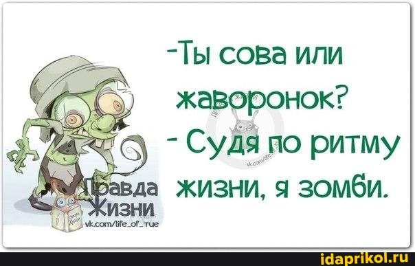 -Ты сова или жаворонок?
- по ритму да жизни, я зомби.