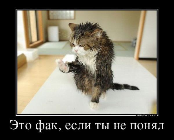 Картинки про педикюр смешные