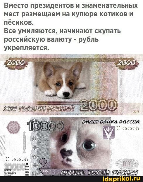 Вместо президентов и знаменательных мест размещаем на купюре котиков и пёсиков.
Все умиляются, начинают скупать российскую валюту - рубль укрепляется.